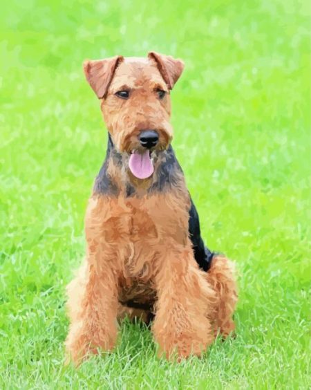Welsh Terrier Dog Diamond Painting