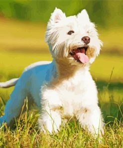 West Highland White Terrier Diamond Painting