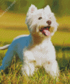 West Highland White Terrier Diamond Painting