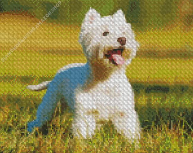 West Highland White Terrier Diamond Painting