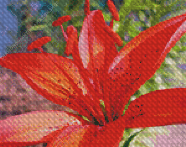 Western Red Lily Close Up Diamond Painting