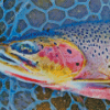 Westslope Cutthroat Trout Diamond Painting