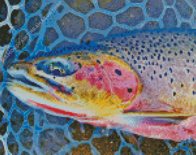 Westslope Cutthroat Trout Diamond Painting