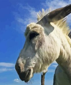 White Donkey Animal Diamond Painting