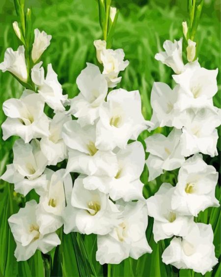 White Gladiolus Diamond Painting