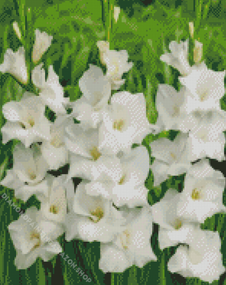 White Gladiolus Diamond Painting
