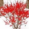 Winterberry In Snow Diamond Painting