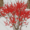 Winterberry In Snow Diamond Painting