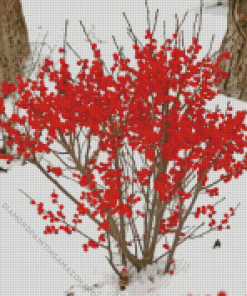 Winterberry In Snow Diamond Painting