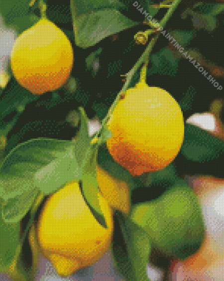 Yellow Lemon Tree Plant Diamond Painting