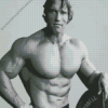 Young Arnold Schwarzenegger Diamond Painting