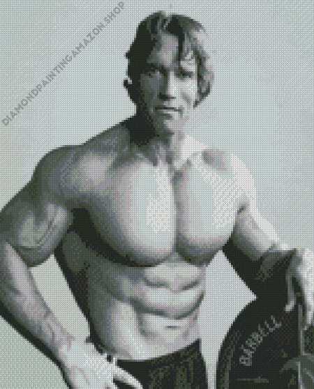 Young Arnold Schwarzenegger Diamond Painting