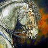 Aesthetic Friesian Horse Diamond Painting