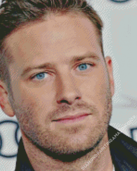 Armie Hammer Diamond Painting