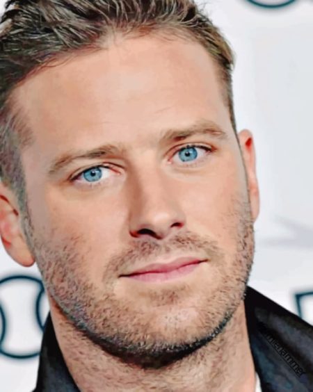 Armie Hammer Diamond Painting