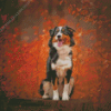 Autumn Black Tri Australian Shepherd Diamond Painting