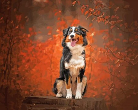 Autumn Black Tri Australian Shepherd Diamond Painting