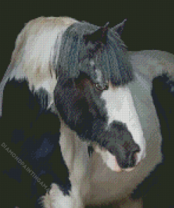 Beautiful Cob Horse Diamond Painting