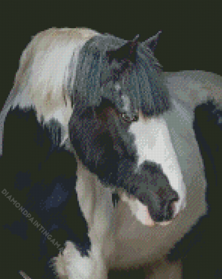 Beautiful Cob Horse Diamond Painting