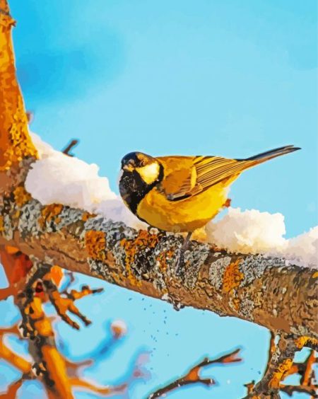 Birch Trees Yellow Finches Diamond Painting