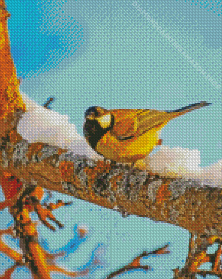 Birch Trees Yellow Finches Diamond Painting