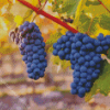 Black Grape Vines Diamond Painting