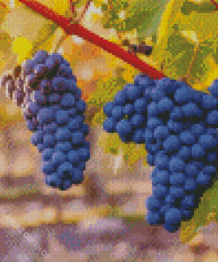 Black Grape Vines Diamond Painting