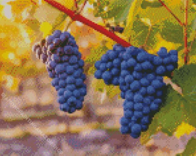 Black Grape Vines Diamond Painting