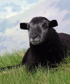 Black Herdwick Sheep Diamond Painting