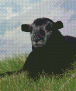 Black Herdwick Sheep Diamond Painting