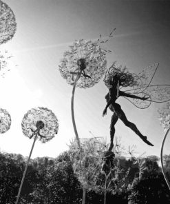 Black And White Fairies And Dandelions Diamond Painting