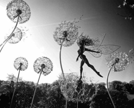 Black And White Fairies And Dandelions Diamond Painting