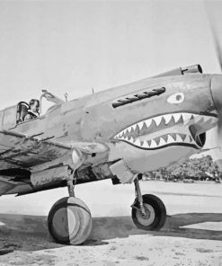 Black And White Flying Tigers Diamond Painting