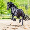 Black Horse Friesian Diamond Painting