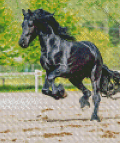 Black Horse Friesian Diamond Painting