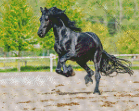 Black Horse Friesian Diamond Painting