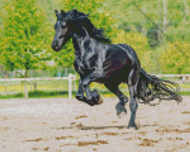 Black Horse Friesian Diamond Painting