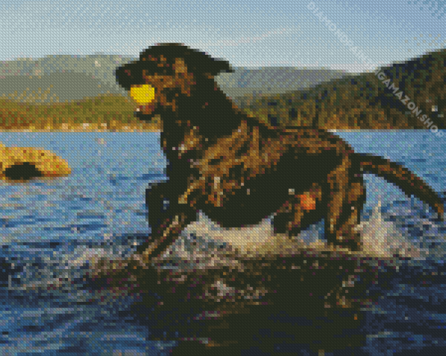 Black Labrador Retriever In Water Diamond Painting