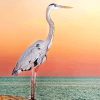 Great Blue Heron Diamond Painting