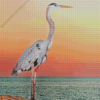 Great Blue Heron Diamond Painting