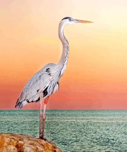 Great Blue Heron Diamond Painting