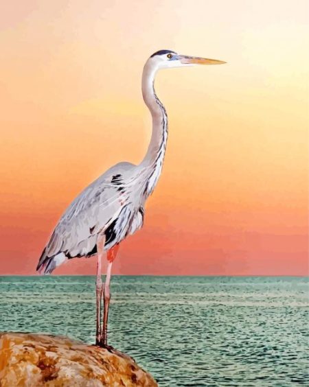 Great Blue Heron Diamond Painting