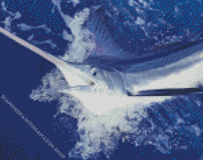 Blue Marlins Diamond Painting