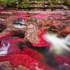 Cano Cristales River Diamond Painting