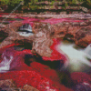 Cano Cristales River Diamond Painting