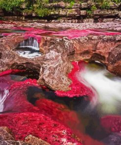 Cano Cristales River Diamond Painting