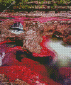 Cano Cristales River Diamond Painting