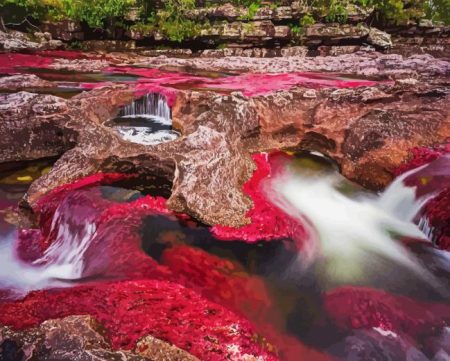 Cano Cristales River Diamond Painting