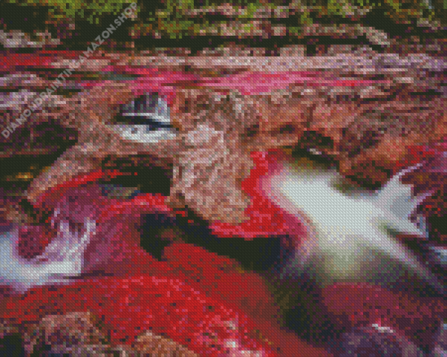 Cano Cristales River Diamond Painting