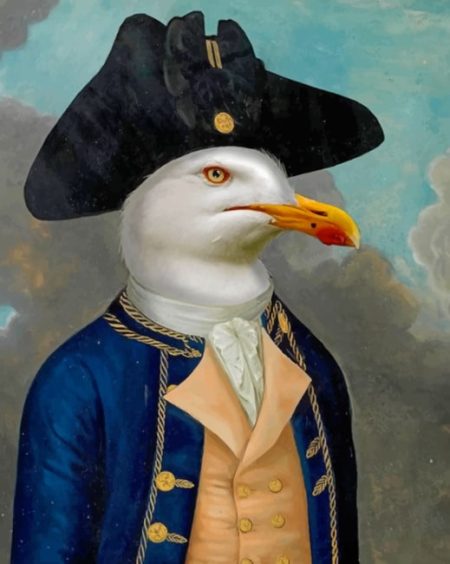 Captain Seagull Diamond Painting